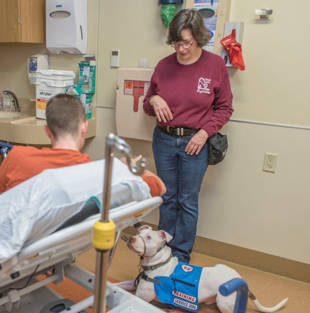 Trainer stands in a hospital emergency room, speaking to a handler on a gurney who is training their white pitbull lying on the floor next to them.