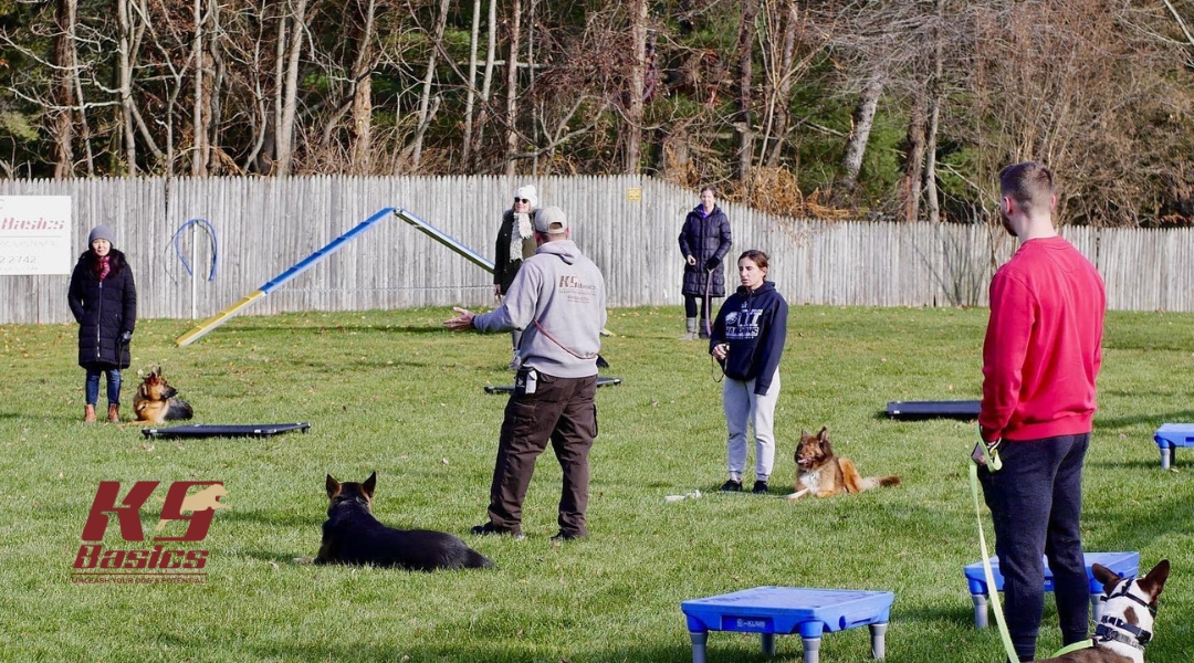A K9 Basics trainer leads an outdoor obedience class with several handlers and their dogs spaced out across a grassy training field. Dogs are sitting or lying near their owners, practicing commands and focus.