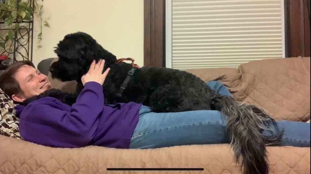 Person lying on couch with black fluffy dog lying on their legs and torso. Person is laughin, smiling, petting the dog.