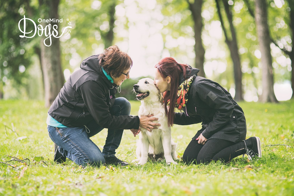 two women cuddling female labrador puppy
