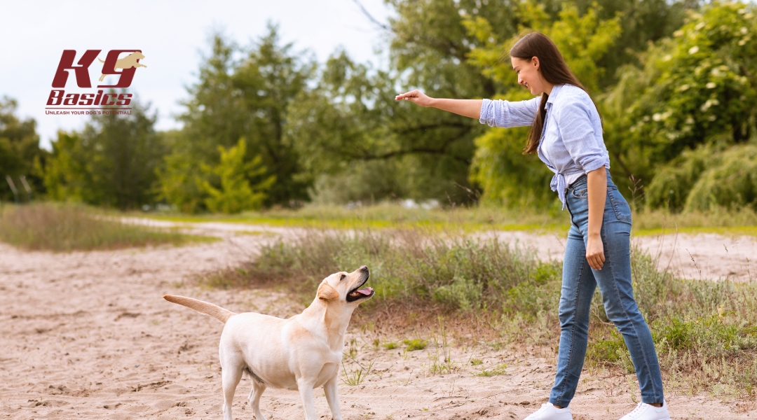 Woman giving a training signal to a Labrador on a sandy outdoor path, demonstrating off-leash recall techniques with K9 Basics.