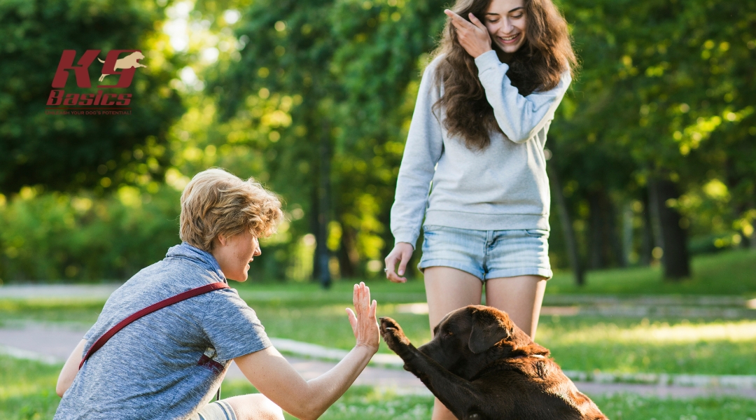 Trainer and young woman high-fiving a chocolate Labrador in a park setting, highlighting positive reinforcement training.