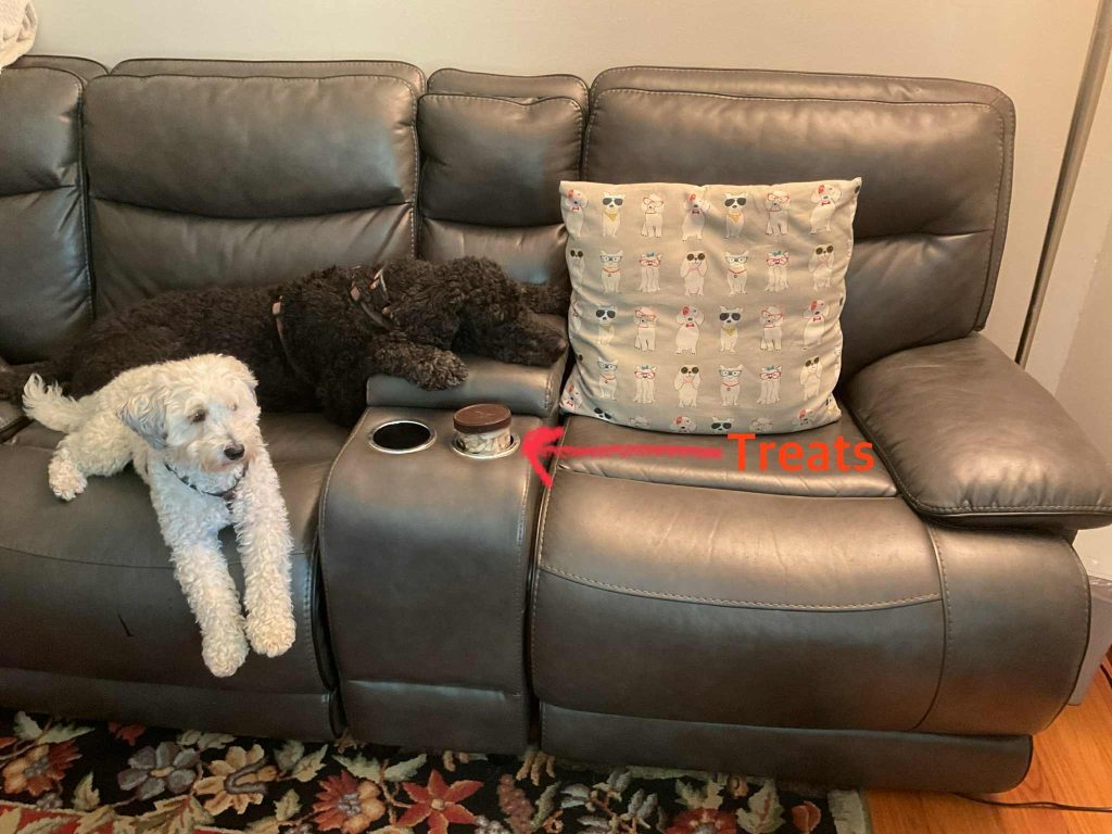 Black leather recliner/couch with a small white curly-haired dog and a black standard poodle lying on it. A jar with treats is in the cupholder. There is a gray cushion with cartoons of dogs wearing glasses on the recliner.