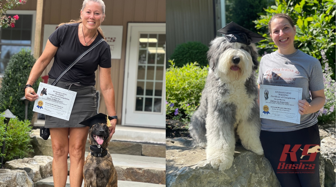 Two dogs with their proud owners, both holding certificates and celebrating their successful dog training graduation, outside in a scenic area.